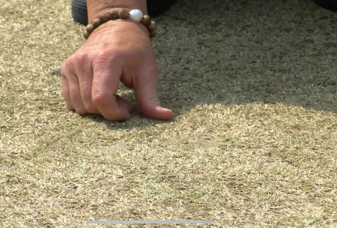 Eden Garden Pitch condition