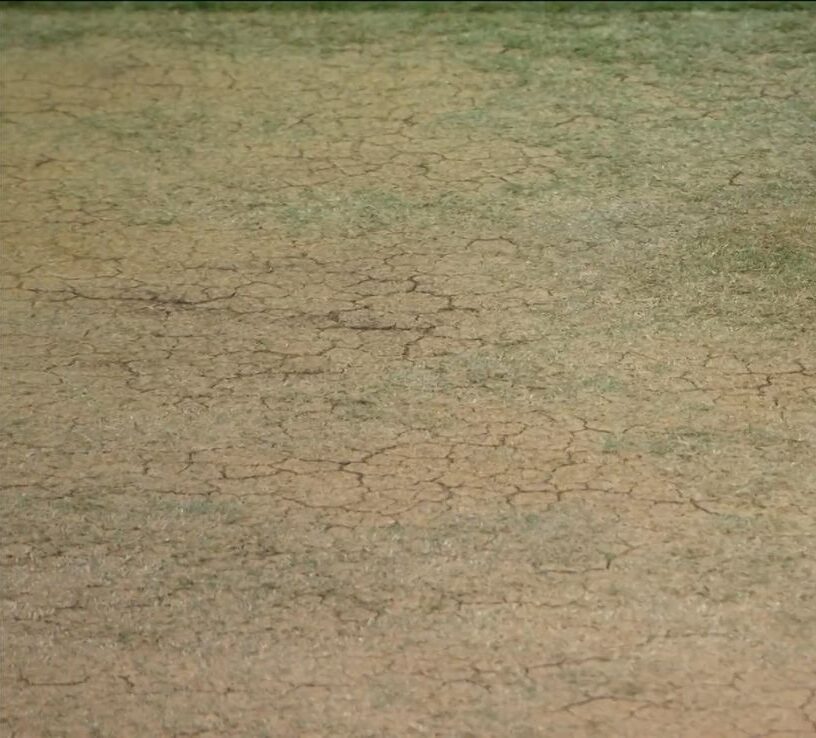 M.Chinnaswamy Stadium, Bengaluru, Pitch Condition